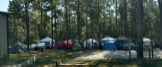 Tents set up in a wooded campsite