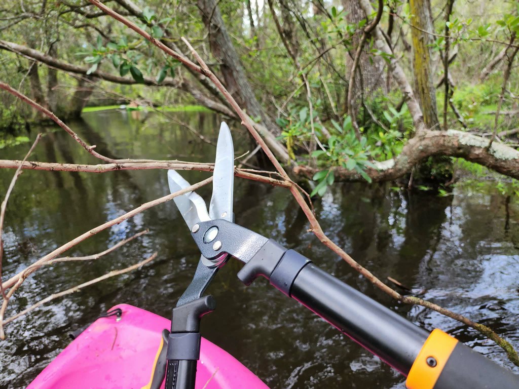 Clearing a branch from the creek float route