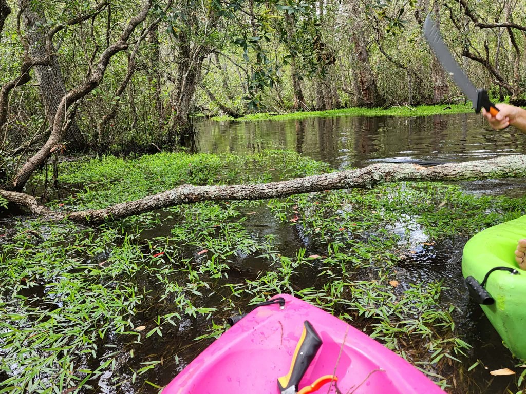 Kayaks on the creek while clearing the float route